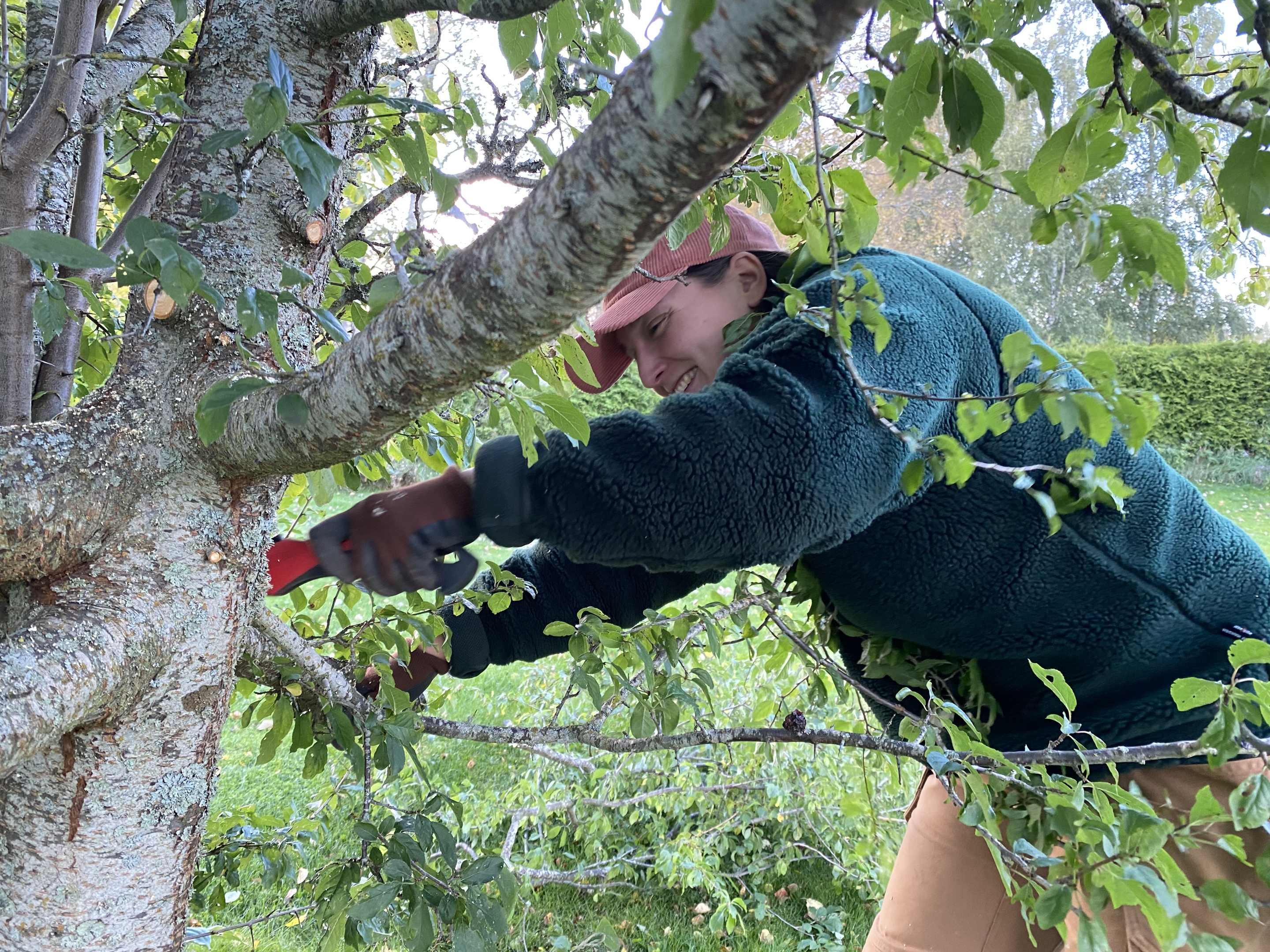 Trädgårdsmästare Örebro